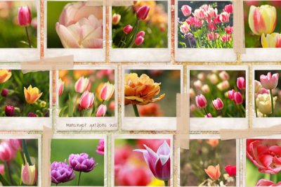 scrapbook_page_371.jpg