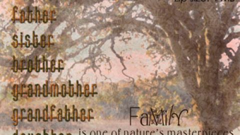 Day 2 Birthday Celebration – Family Trees