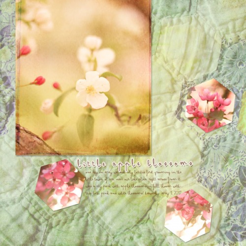 appleblossoms2013_piecesme13_03_shapeblends1