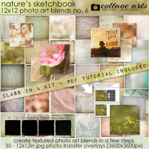 cottagearts-photoartblends6-prev