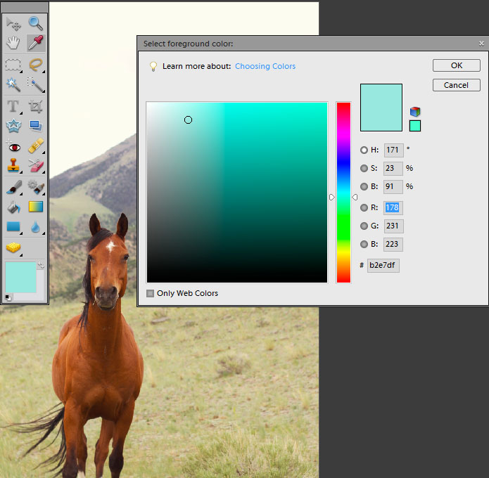 My Image 36