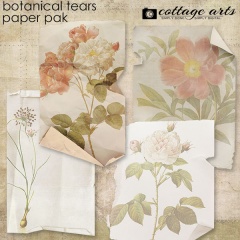 cottagearts-botanicalstears-papers-prev
