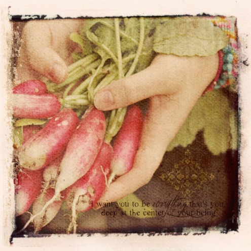 062011-radish4-08-photoblend3_12-cottagearts.jpg