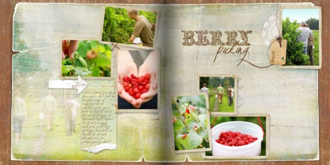 berry_picking2.jpg