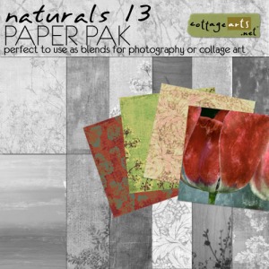 cottagearts-naturals13-paper-prev.jpg