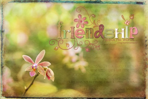 friendship-orchid-photoblen.jpg
