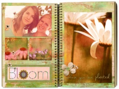 journal2_ns6_bloom