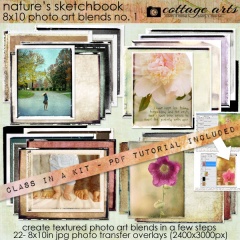 cottagearts-photoartblends1-prev