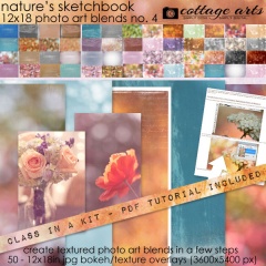 cottagearts-photoartblends4-prev