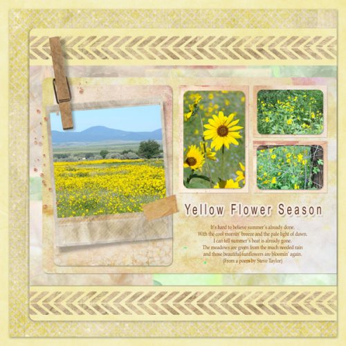 ca_yellowflowerseason