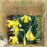 daffodils6.jpg