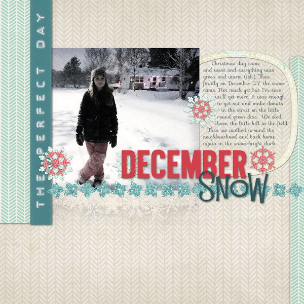 December Snow by Tonya Regular